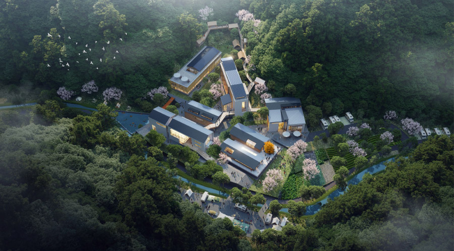 里商乡大叶村梓树坞自然村